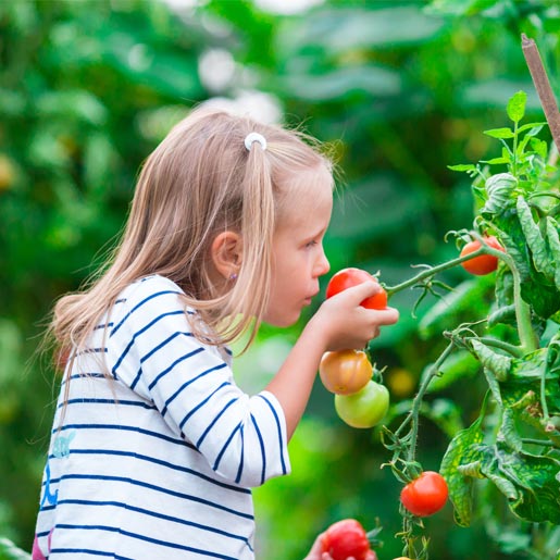Umweltschutz mit Kindern - Mädchen küsst eine Tomate
